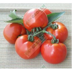 Домати Парис