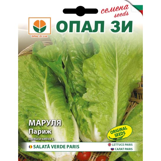 Маруля Париж