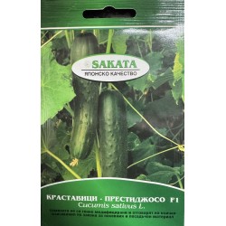 Краставици Престиджосо F1