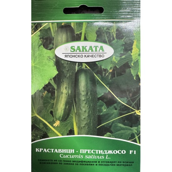 Краставици Престиджосо F1