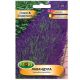 Лавандула /Lavandula angustifolia/