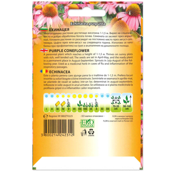 Ехинацея /Echinacea purpurea/