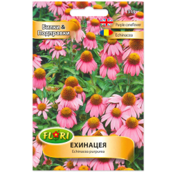 Ехинацея /Echinacea purpurea/