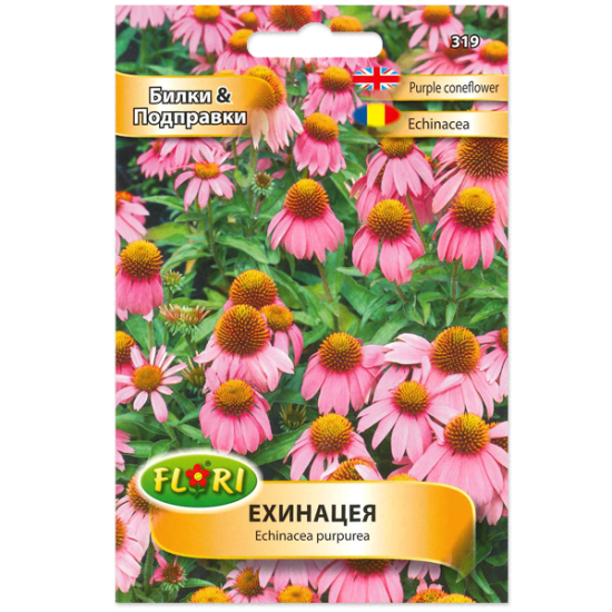 Ехинацея /Echinacea purpurea/