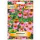 Ехинацея /Echinacea purpurea/