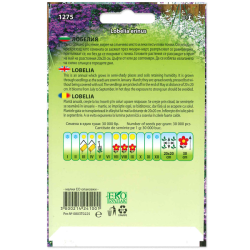 Лобелия /Lobelia erinus/