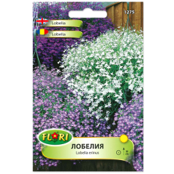 Лобелия /Lobelia erinus/