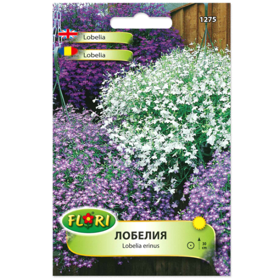 Лобелия /Lobelia erinus/