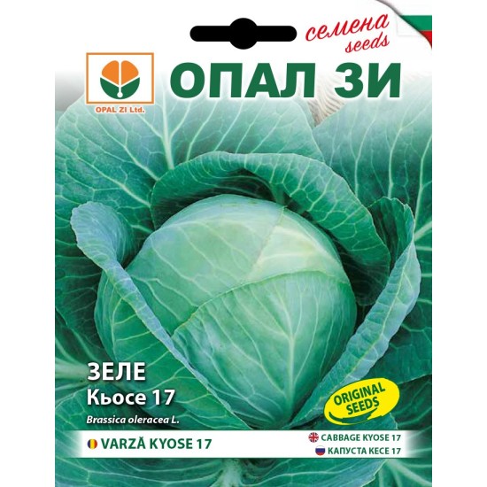 Зеле Кьосе 17