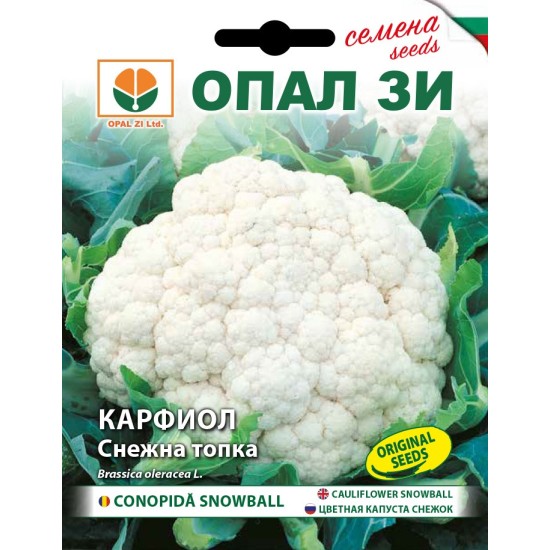 Карфиол Снежна топка