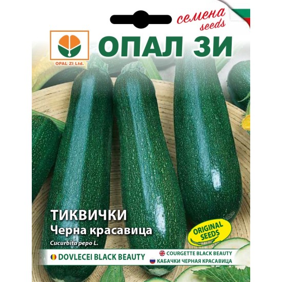 Тиквички Черна красавица