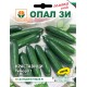 Краставици Тимор F1