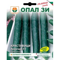 Краставици Авангард F1