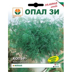 Копър