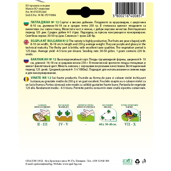 Патладжан №12 