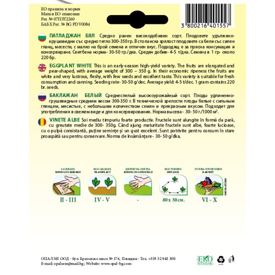 Патладжан Бял