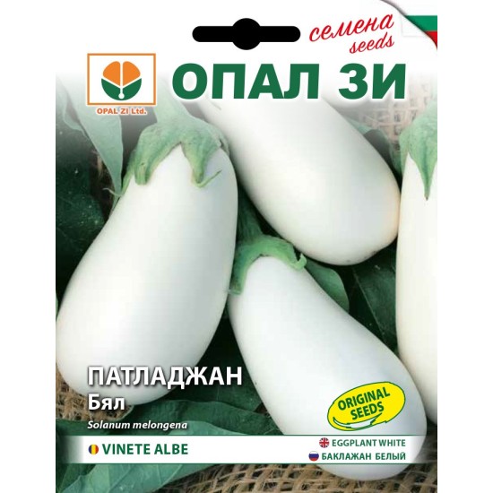 Патладжан Бял