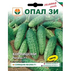 Корнишони Регина F1