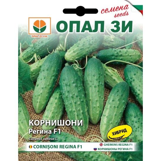 Корнишони Регина F1