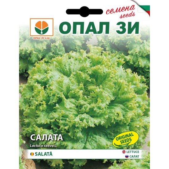 Салата Джентелина
