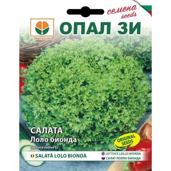 Салата Лоло бионда