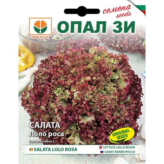 Салата Лоло роса
