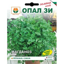 Магданоз Фестивал