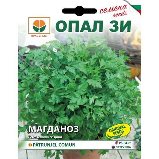 Магданоз Фестивал