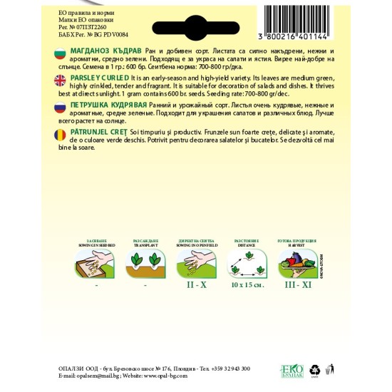 Магданоз Къдрав