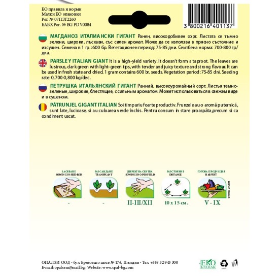 Магданоз Италиански гигант