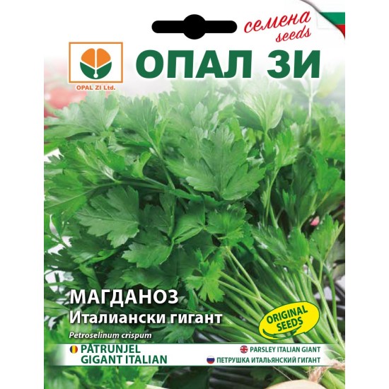 Магданоз Италиански гигант