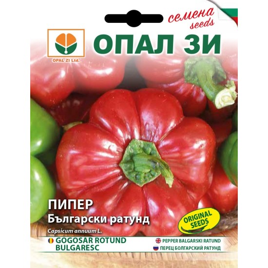 Пипер Камби Български ратунд