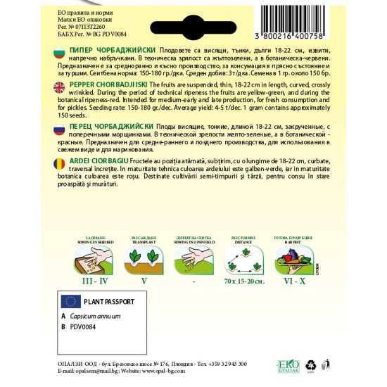 Пипер Чорбаджийски