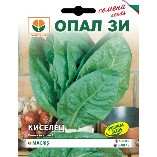 Киселец