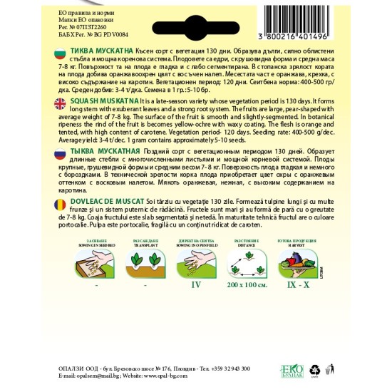 Тиква Мускатна