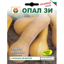 Тиква Мускатна