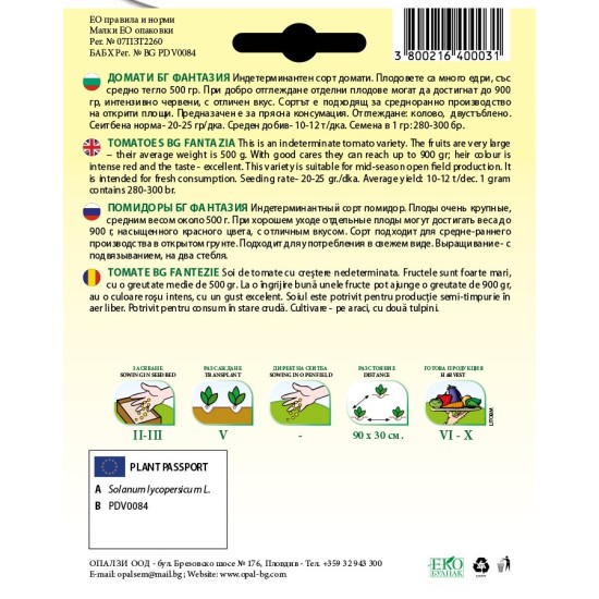Домати Фантазия