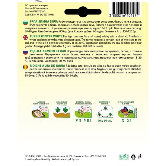 Ряпа зимна бяла