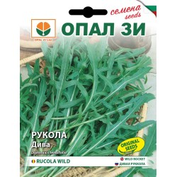 Рукола Дива