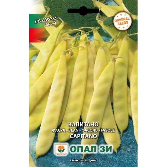 Фасул Капитано /нисък/