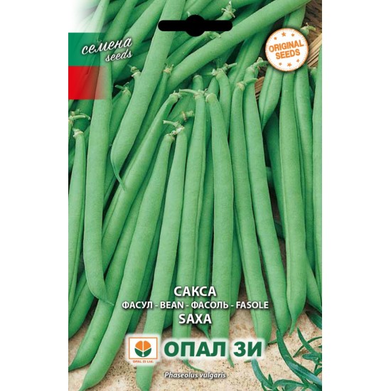 Фасул Сакса /нисък, цилиндричен/