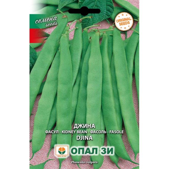 Фасул Джина /нисък/