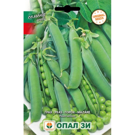 Грах Ран 1