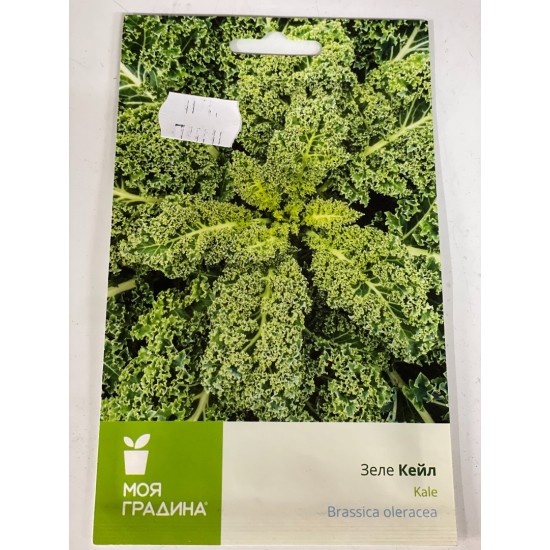 Зеле Кейл зелен