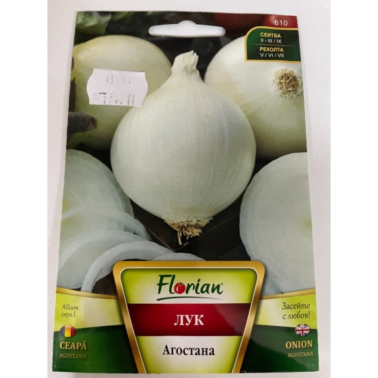 Лук Бял Агостана