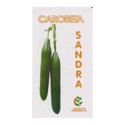 Краставици Сандра 10гр