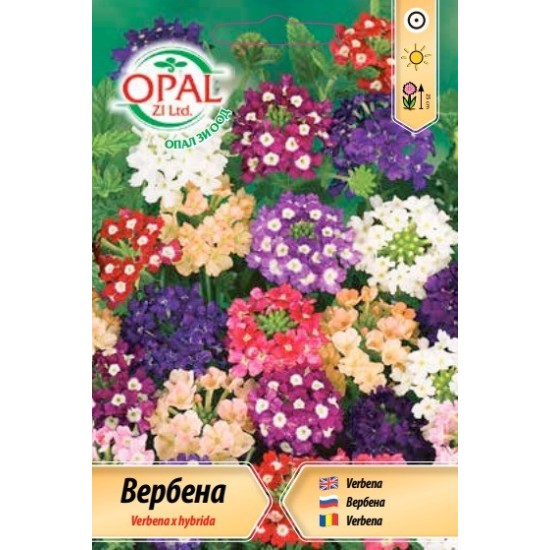 Вербена микс