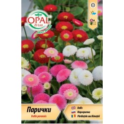 Парички /Белис/ микс