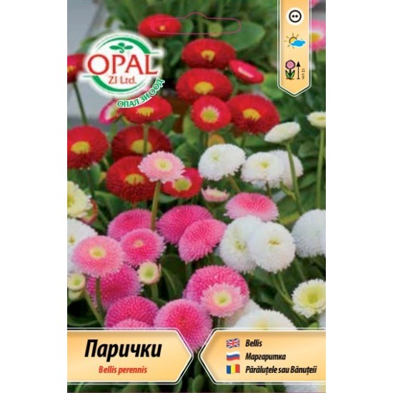 Парички /Белис/ микс