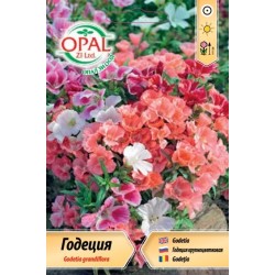 Годеция микс